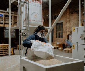 Milling English Barley at white Peak Distillery